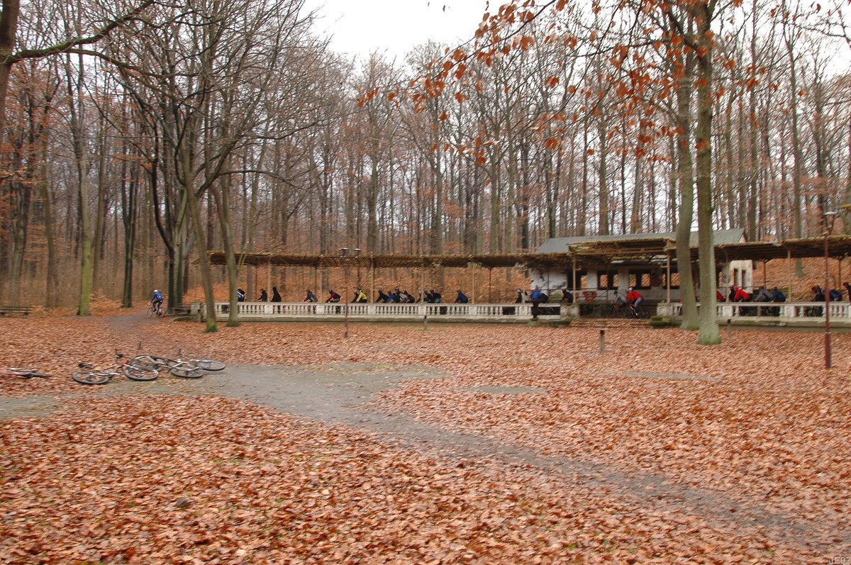 DSC_0003.JPG