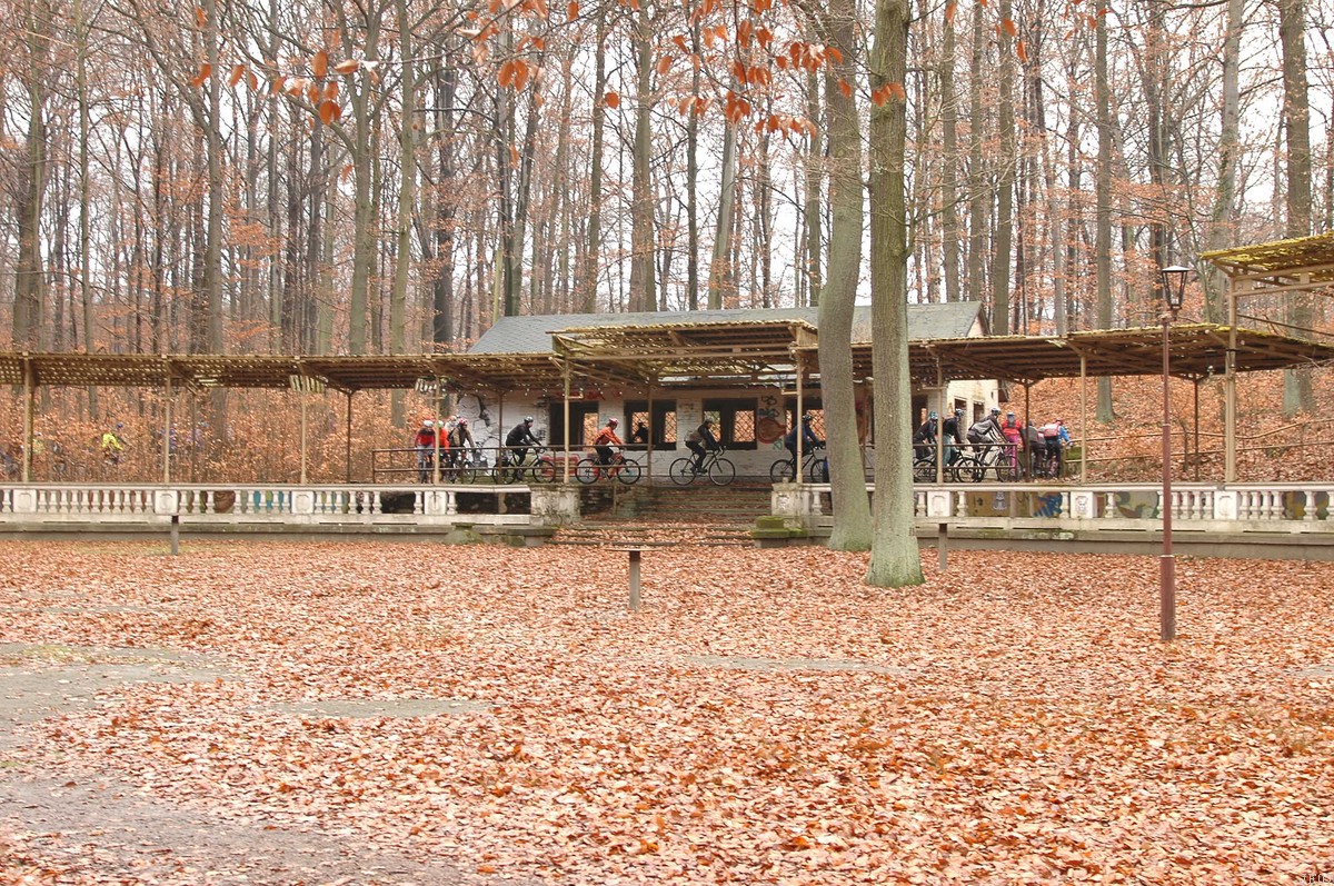 DSC_0004.JPG