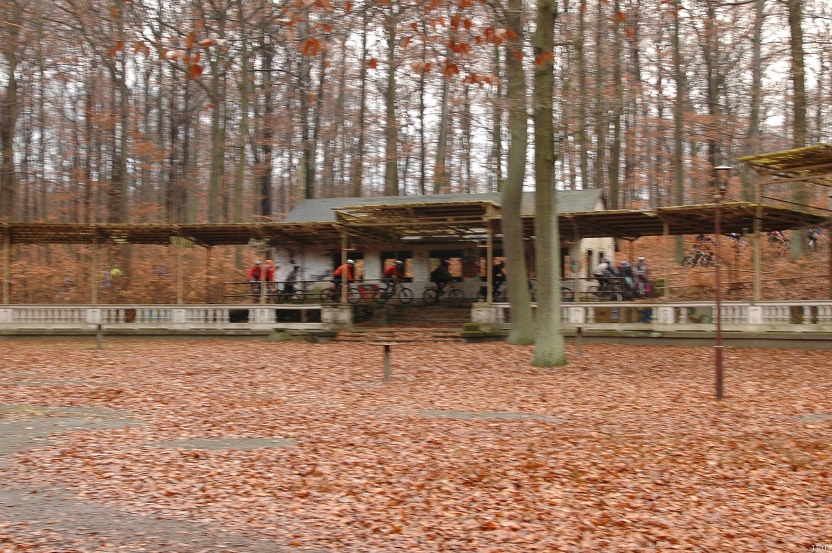 DSC_0005.JPG