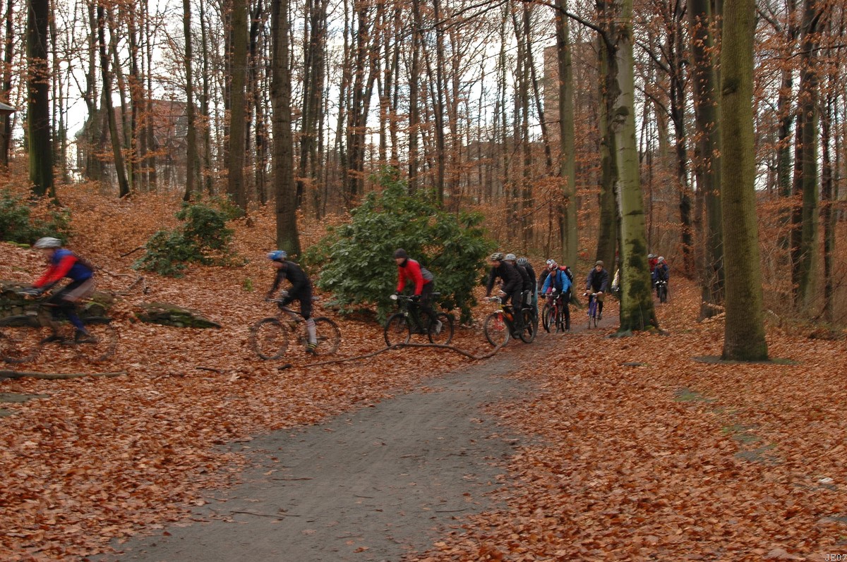 DSC_0006.JPG
