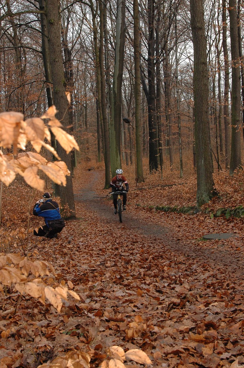 DSC_0035.JPG