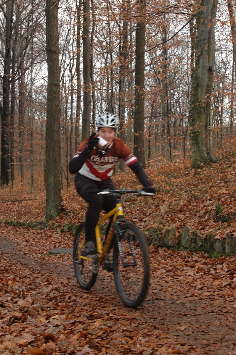 DSC_0036.JPG