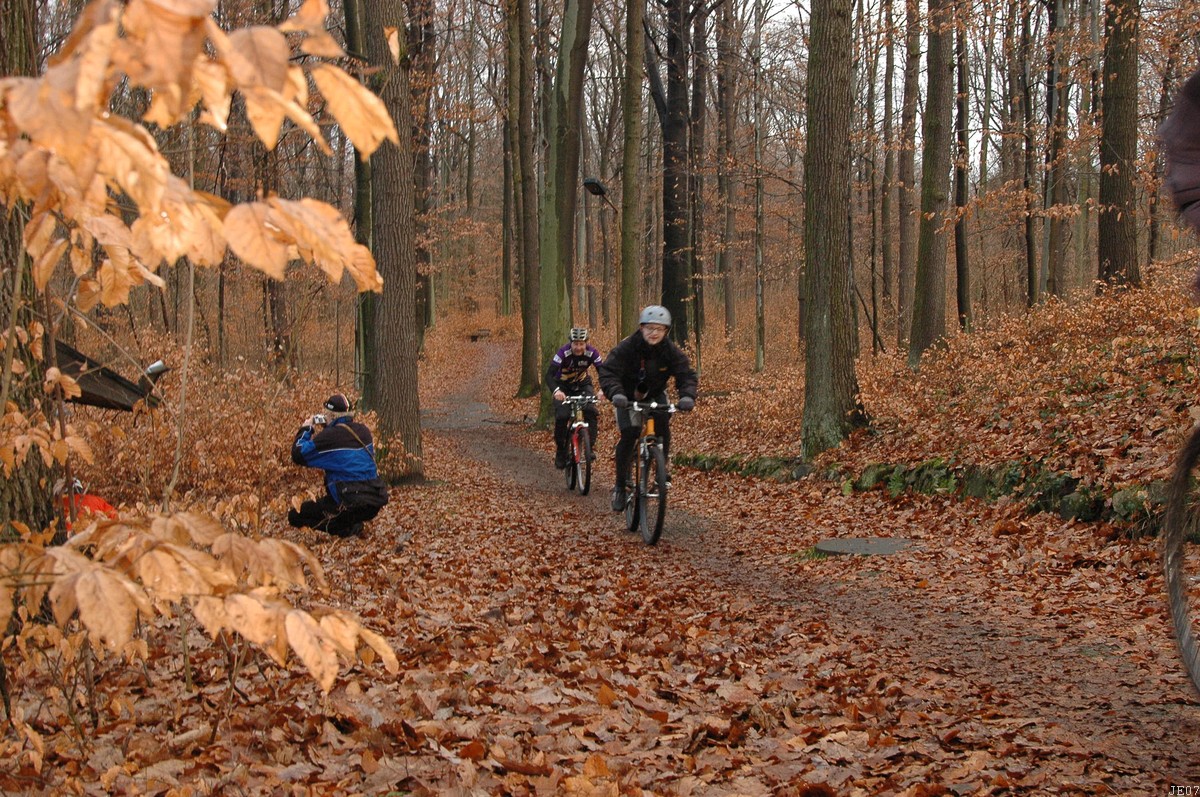 DSC_0037.JPG
