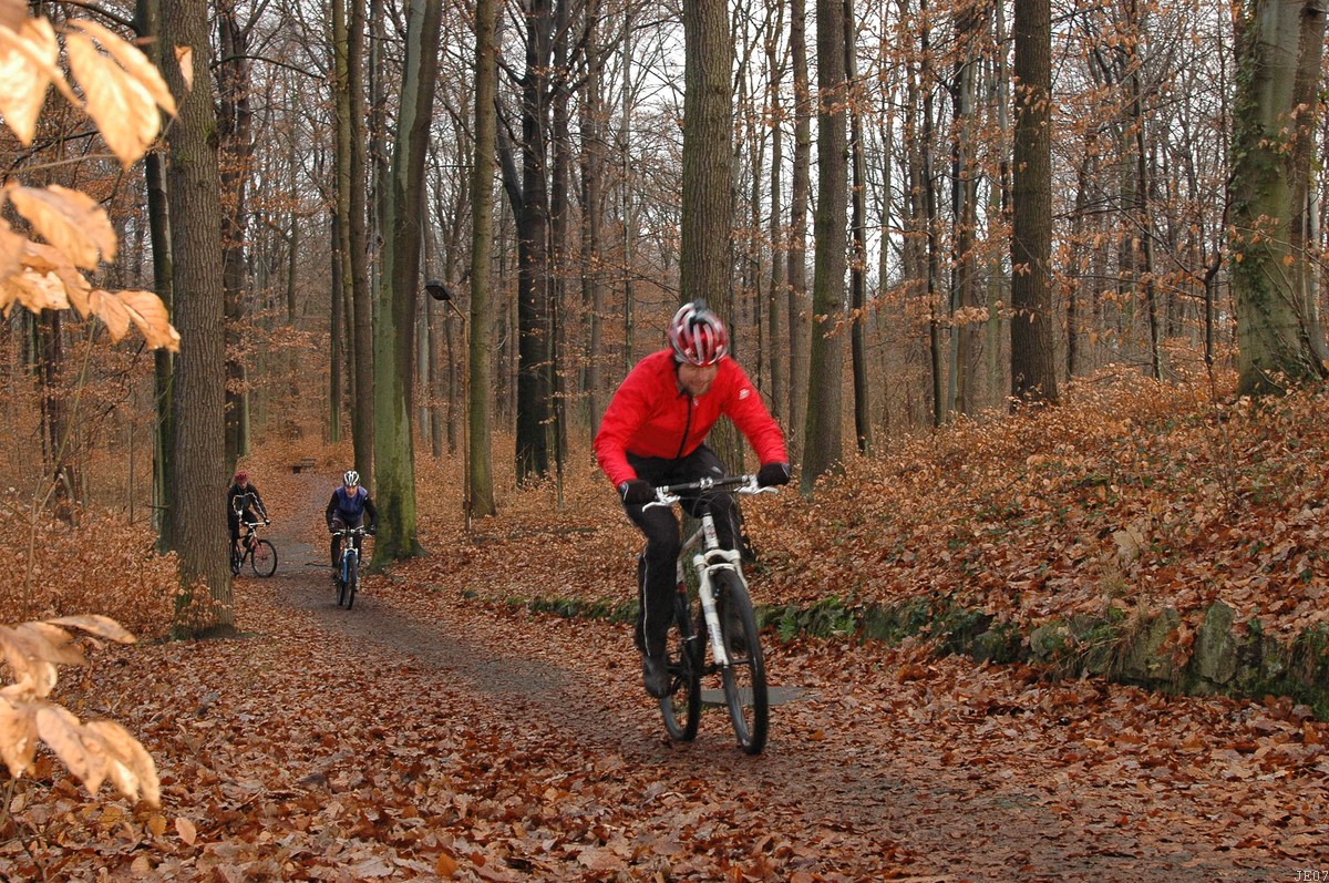 DSC_0039.JPG