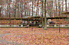 DSC_0005.JPG DSC_0005.JPG