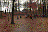 DSC_0011.JPG DSC_0011.JPG
