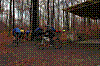 DSC_0020.JPG DSC_0020.JPG
