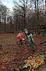 DSC_0021.JPG DSC_0021.JPG