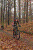 DSC_0033.JPG DSC_0033.JPG
