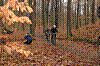 DSC_0037.JPG DSC_0037.JPG