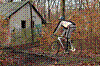 DSC_0045.JPG DSC_0045.JPG