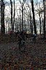 DSC_0056.JPG DSC_0056.JPG