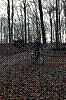 DSC_0060.JPG DSC_0060.JPG