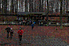 DSC_0083.JPG DSC_0083.JPG