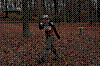DSC_0091.JPG DSC_0091.JPG